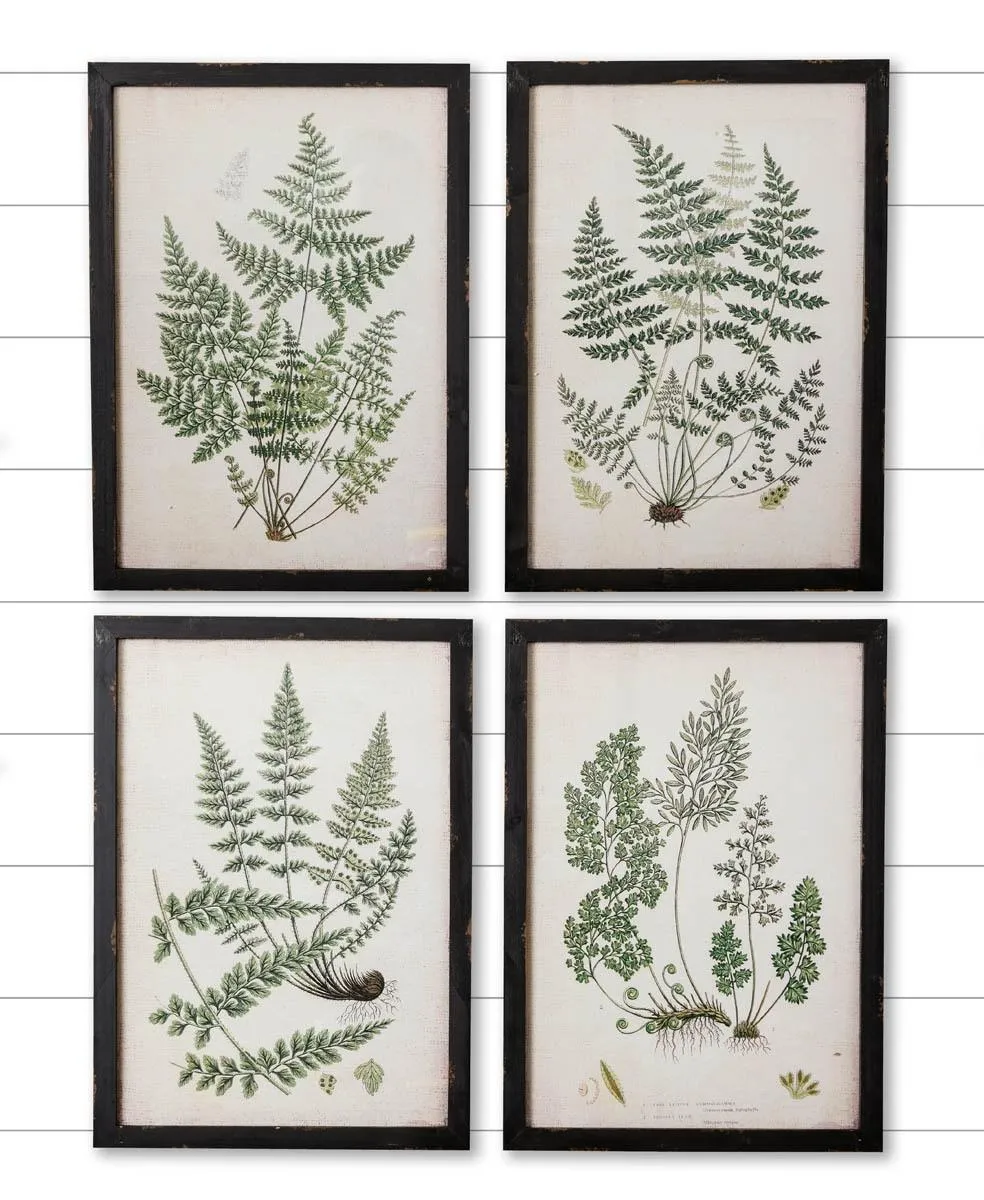 Black Framed Fern Prints *in store pickup only