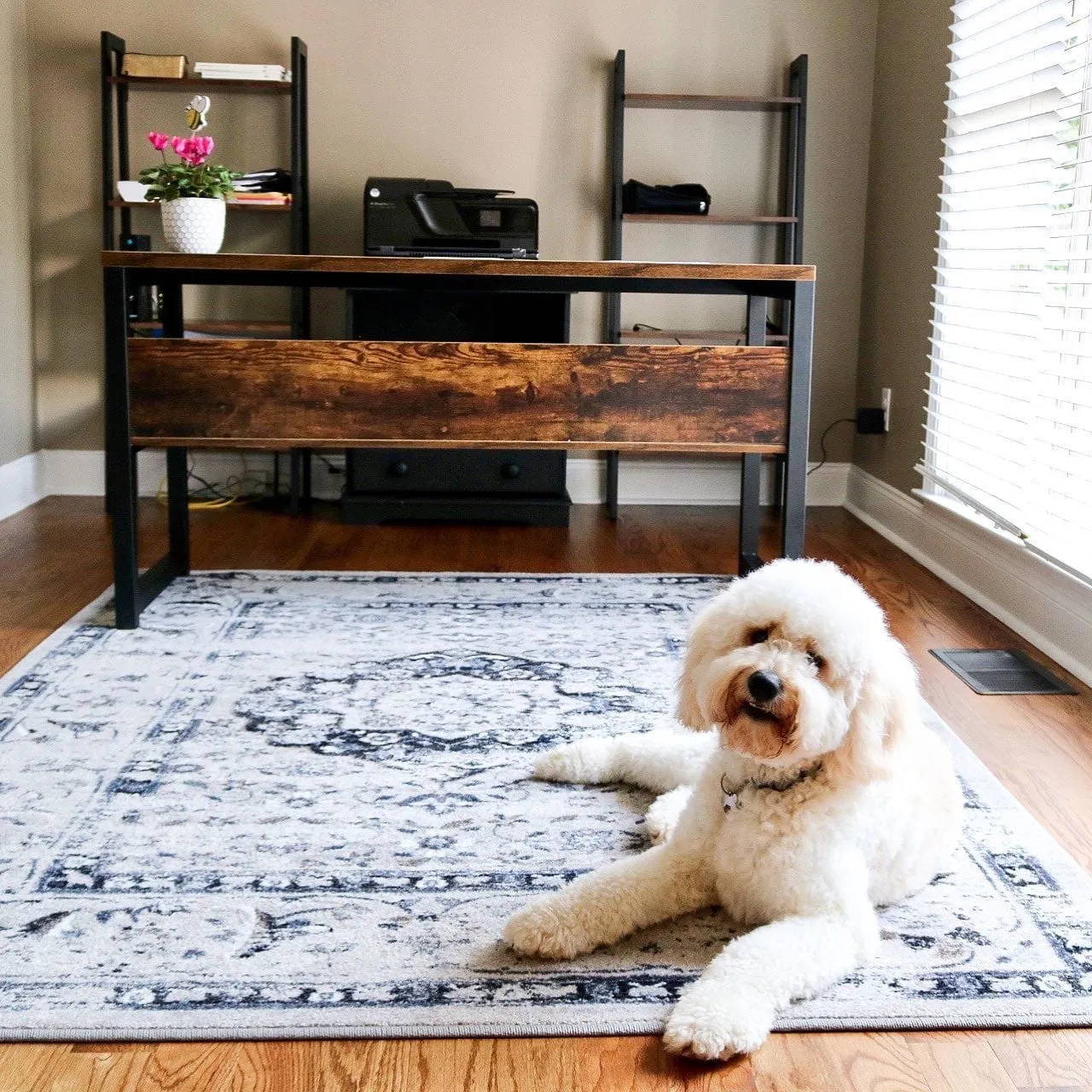 Bristol Mist Distressed Blue/Grey Rugs