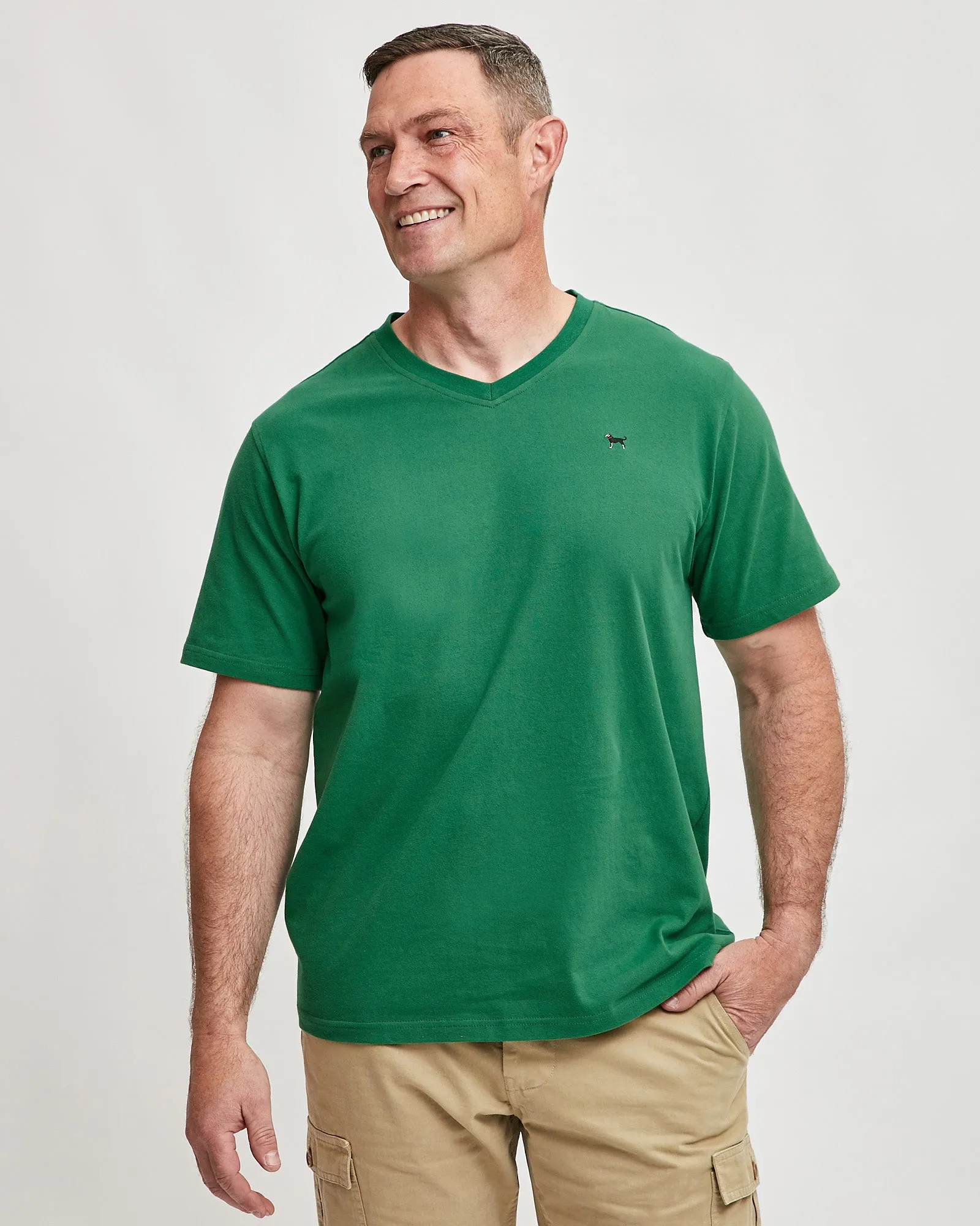 Mens Classic Shortsleeve Vneck Tee