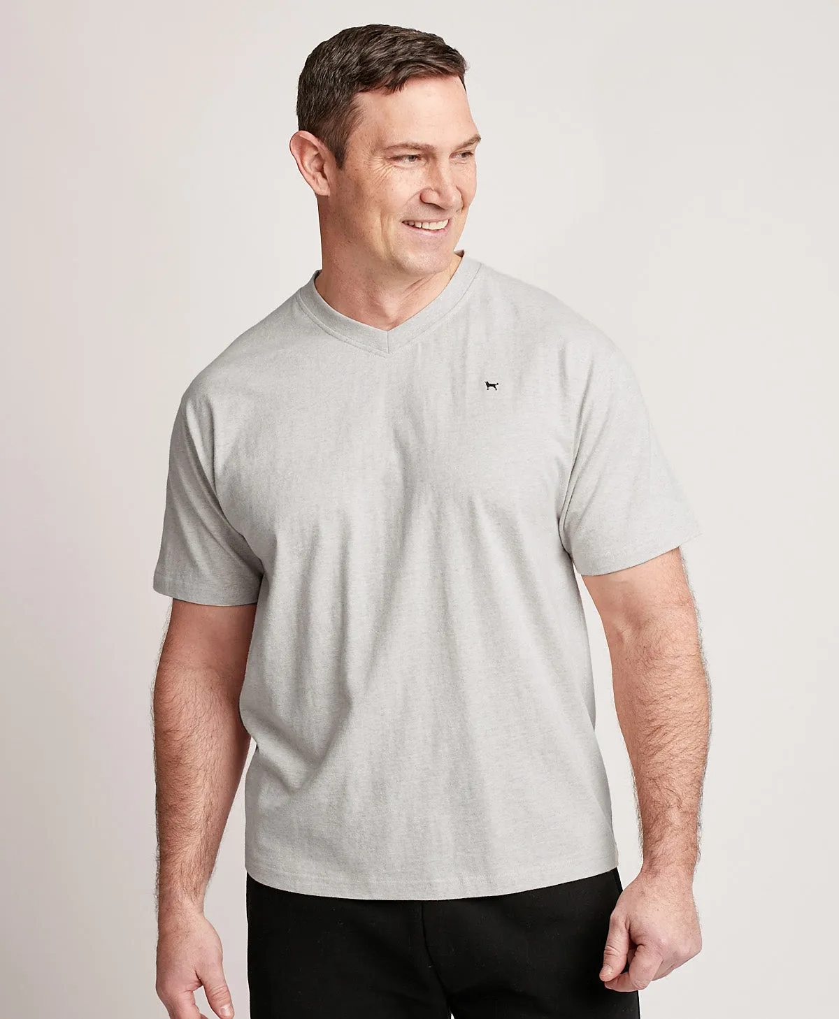 Mens Classic Shortsleeve Vneck Tee