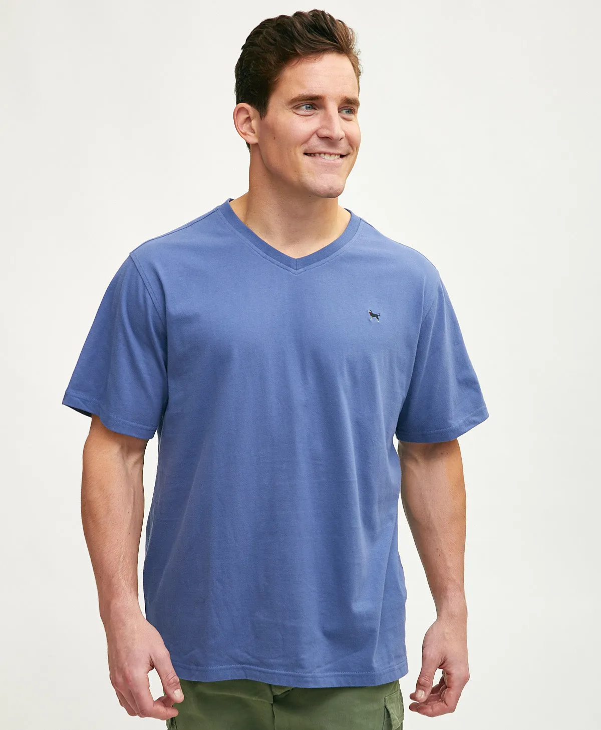 Mens Classic Shortsleeve Vneck Tee